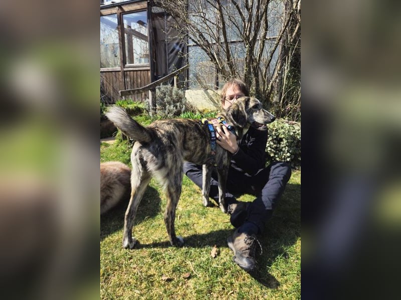 Perla sucht eine Familie