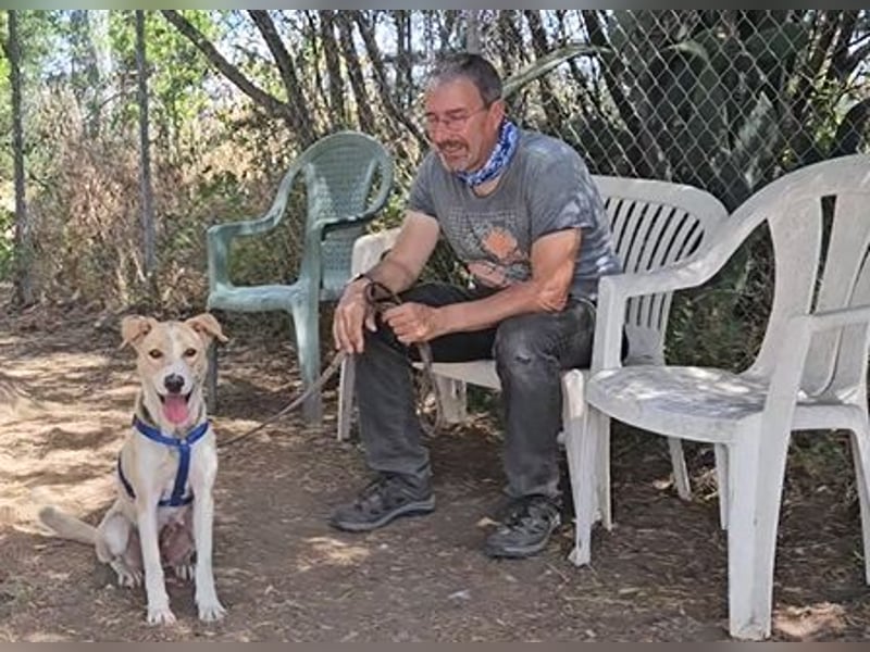 Lucy: tolle Familienhündin in schöner Größe