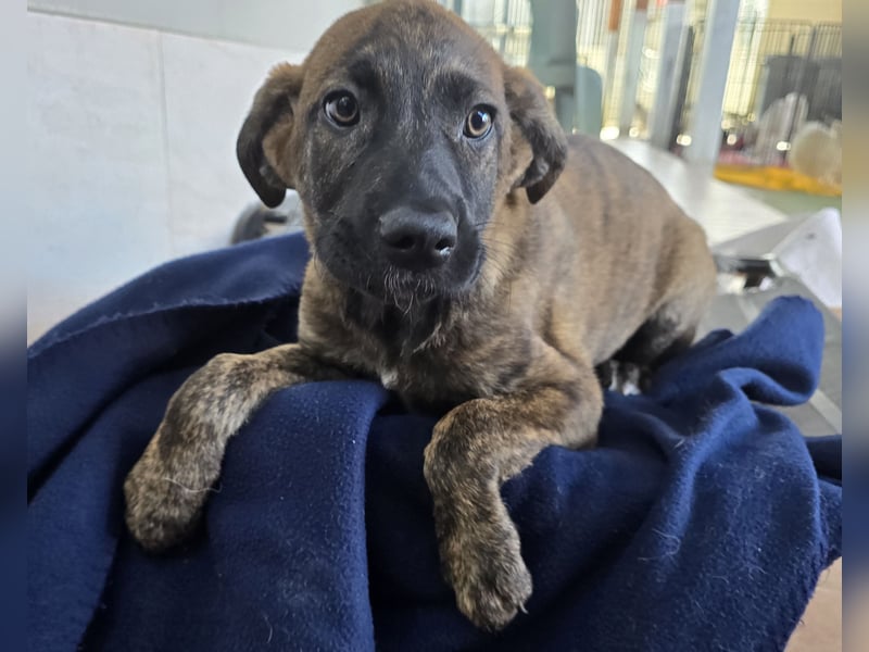 Esedra: bereit für die eigene Familie