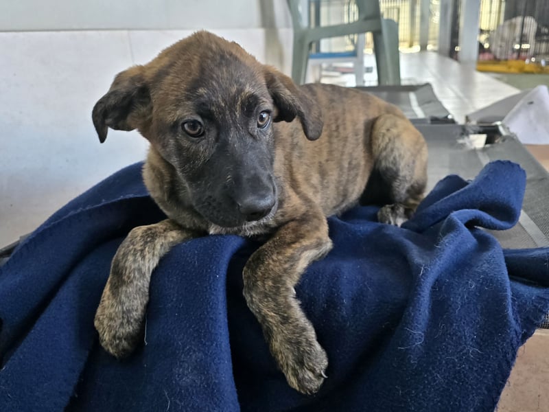 Esedra: bereit für ihre eigene Familie