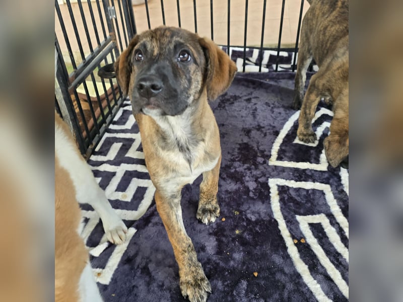 Ethan: bereit für seine eigene Familie