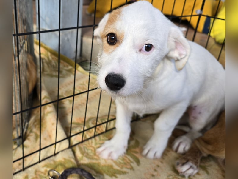 Giovanna: kleine Zuckerschnute