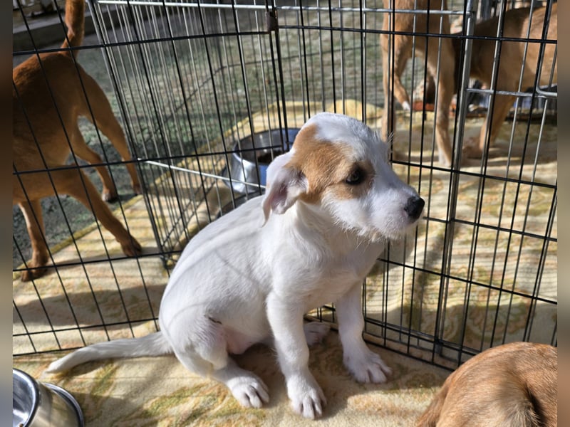 Giovanna: kleine Zuckerschnute