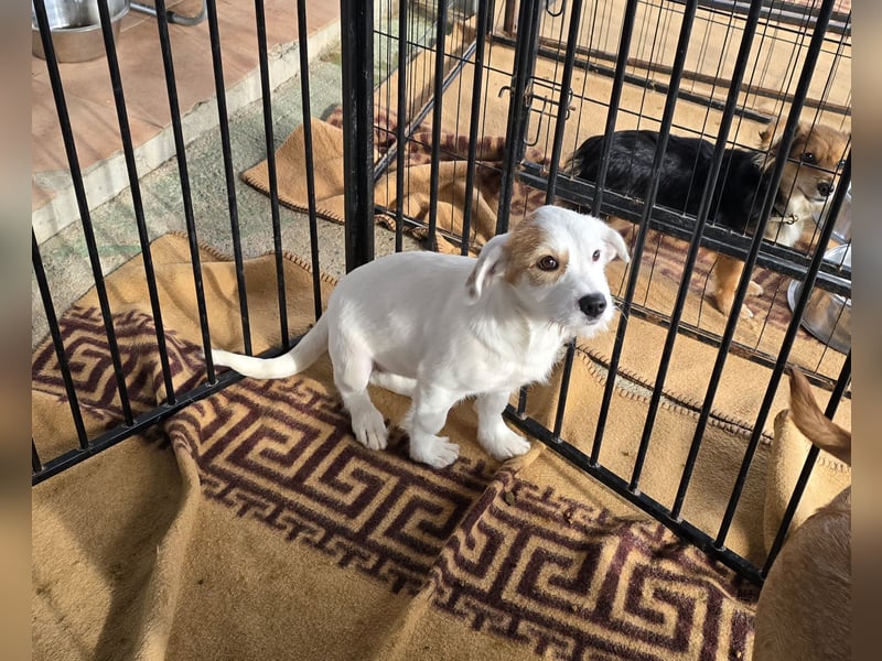 Giovanna: wünscht sich Liebe und Geborgenheit