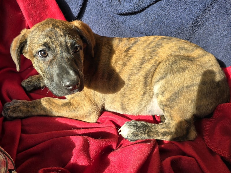 Ethan: bereit für seine eigene Familie