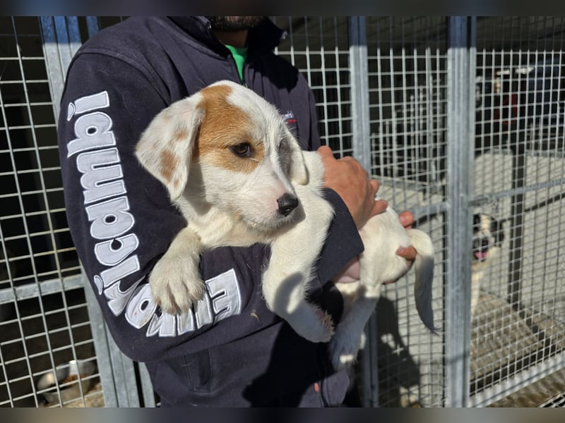 Giovanna: kleine Zuckerschnute