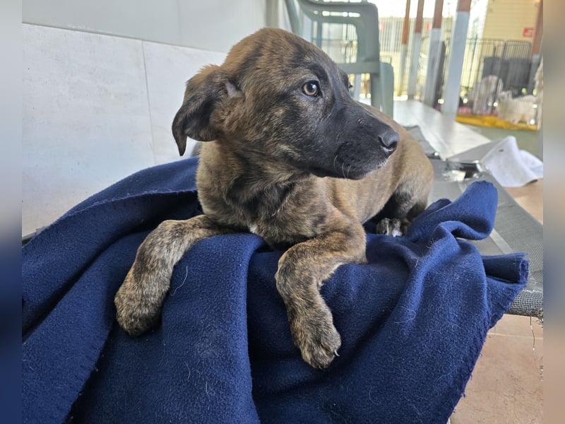 Esedra: bereit für die eigene Familie