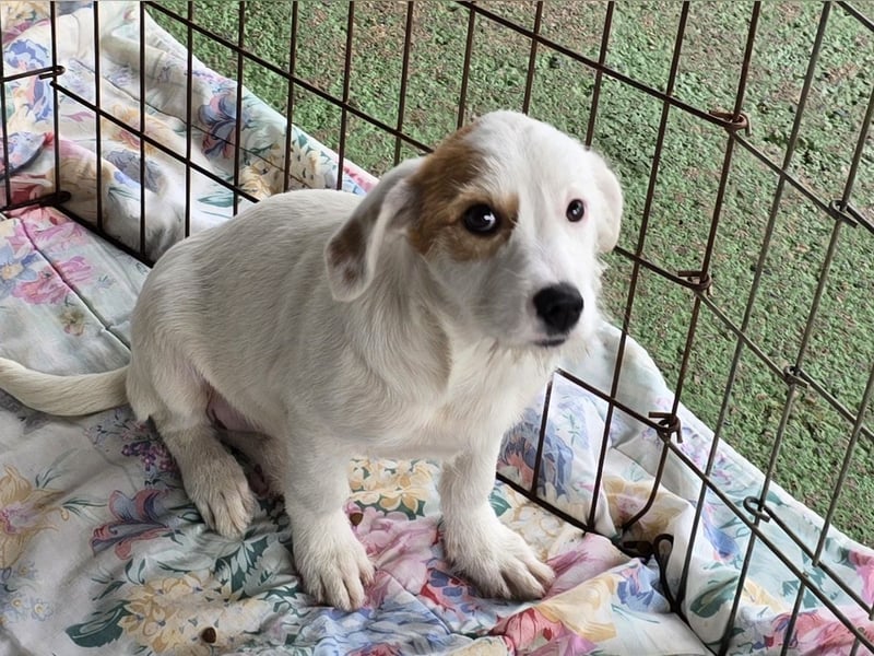 Giovanna: wünscht sich Liebe und Geborgenheit