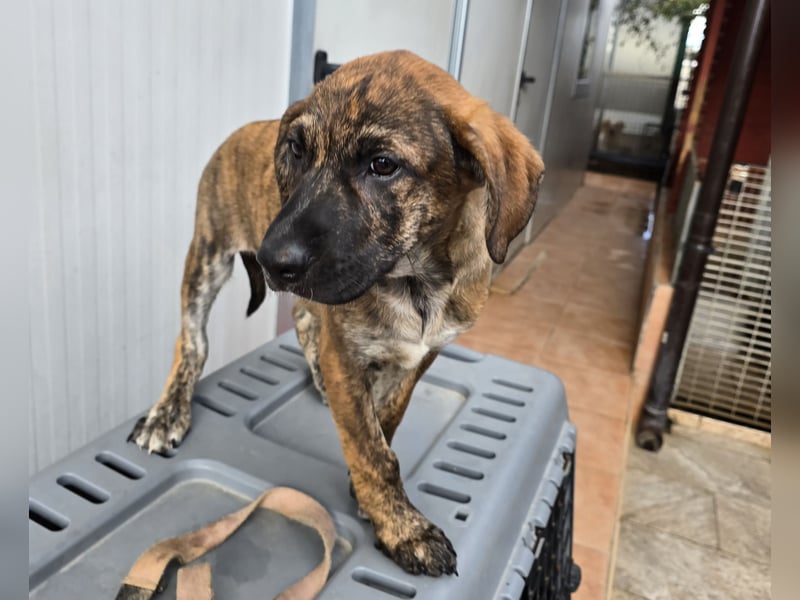 Ethan: bereit für seine eigene Familie