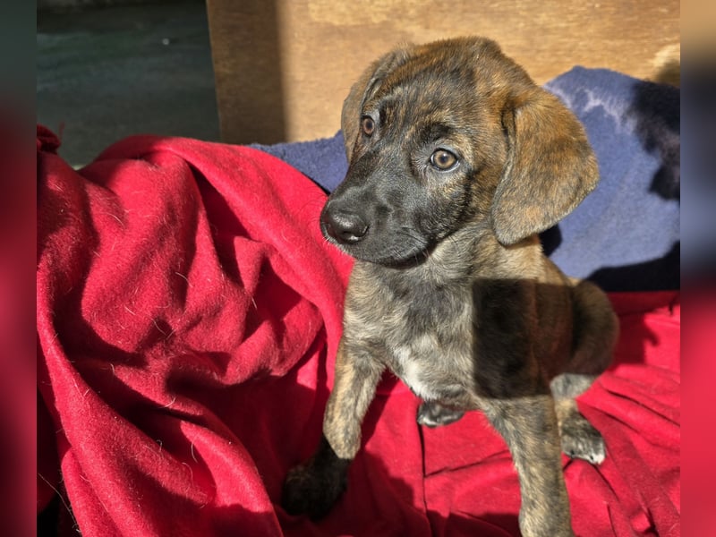 Esedra: bereit für ihre eigene Familie