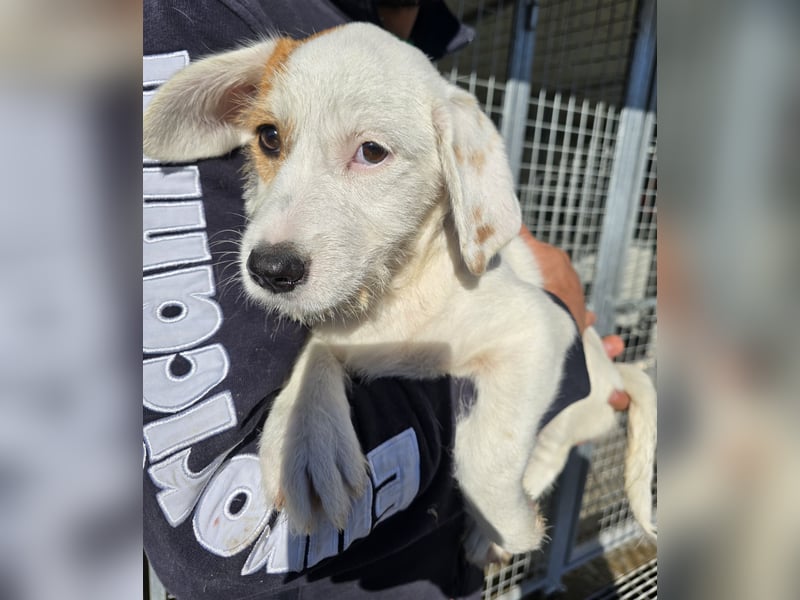 Giovanna: kleine Zuckerschnute