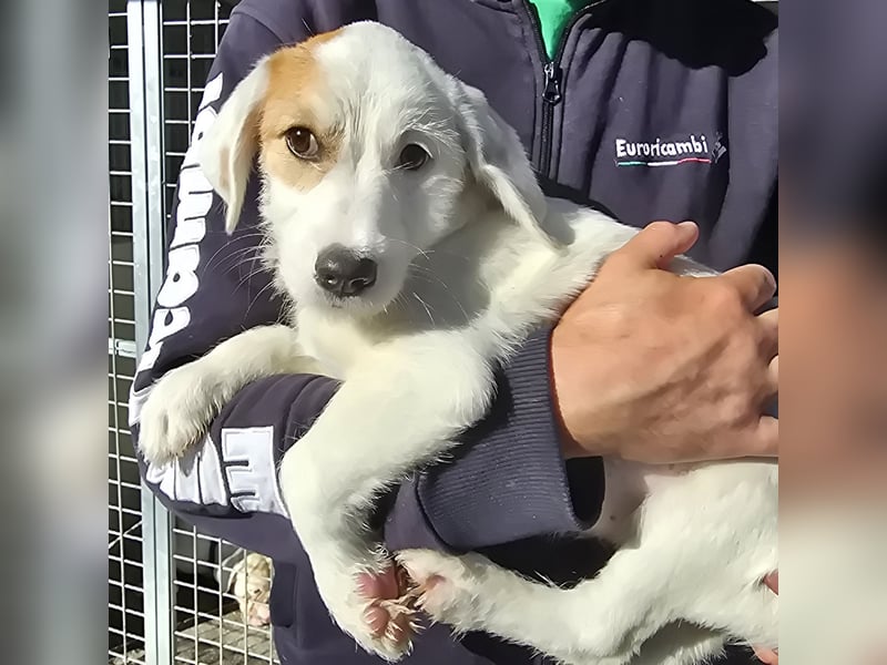 Giovanna: kleine Zuckerschnute