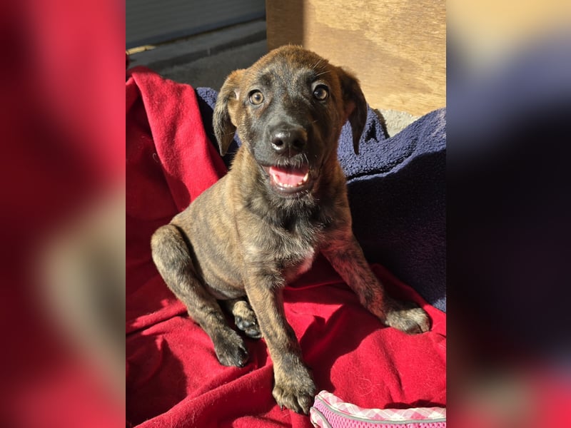 Esedra: bereit für eine eigene Familie