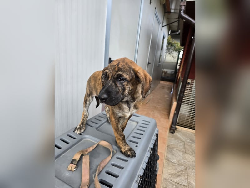 Esedra: bereit für die eigene Familie