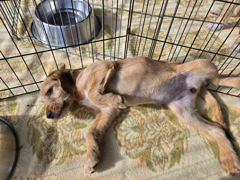 Simona: süße Zuckerschnute