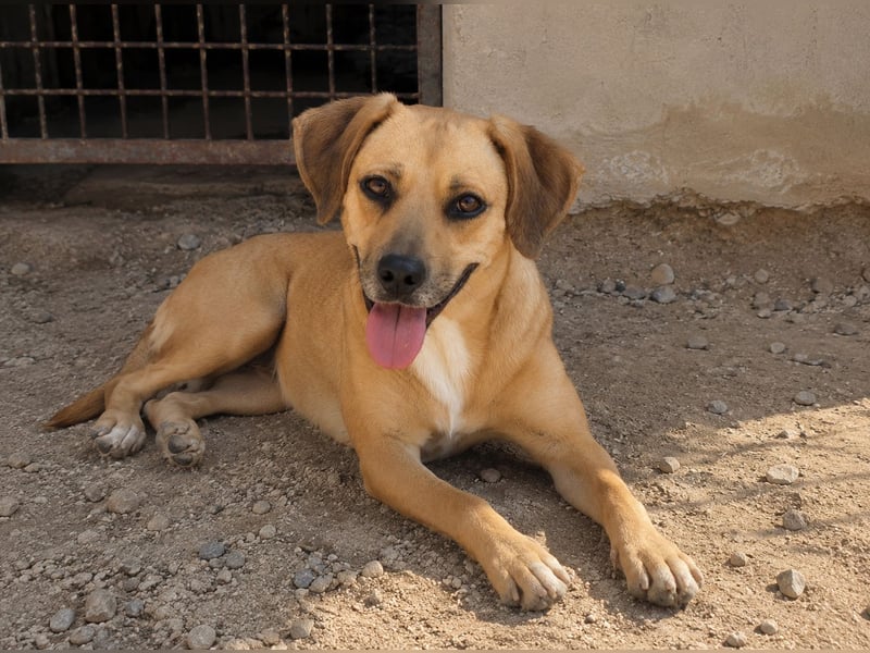 Jasmine: ein Schatz für die ganze Familie
