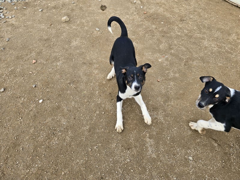 Argo: ein Schatz für die ganze Familie