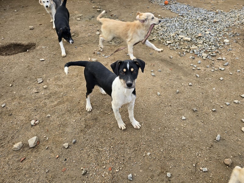 Argo: ein Schatz für die ganze Familie