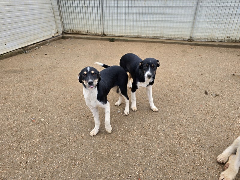 Argo: ein Schatz für die ganze Familie