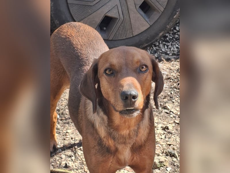 Gavin - wenn Lebensfreude stärker ist als die Vergangenheit