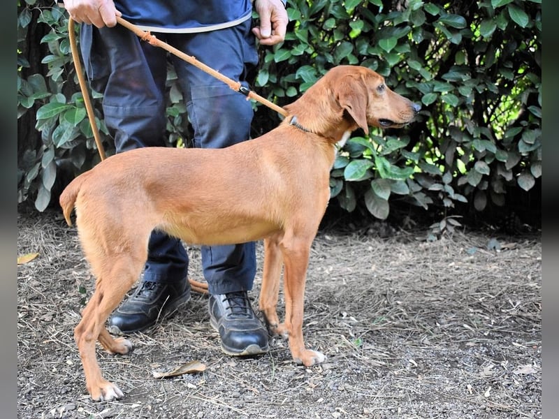 Clotilda - Gemeinsam werden wir sie retten