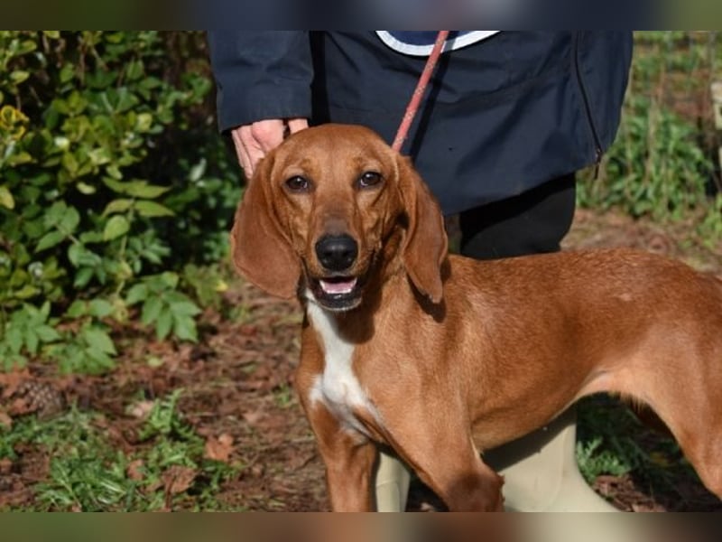 Clotilda - Gemeinsam werden wir sie retten