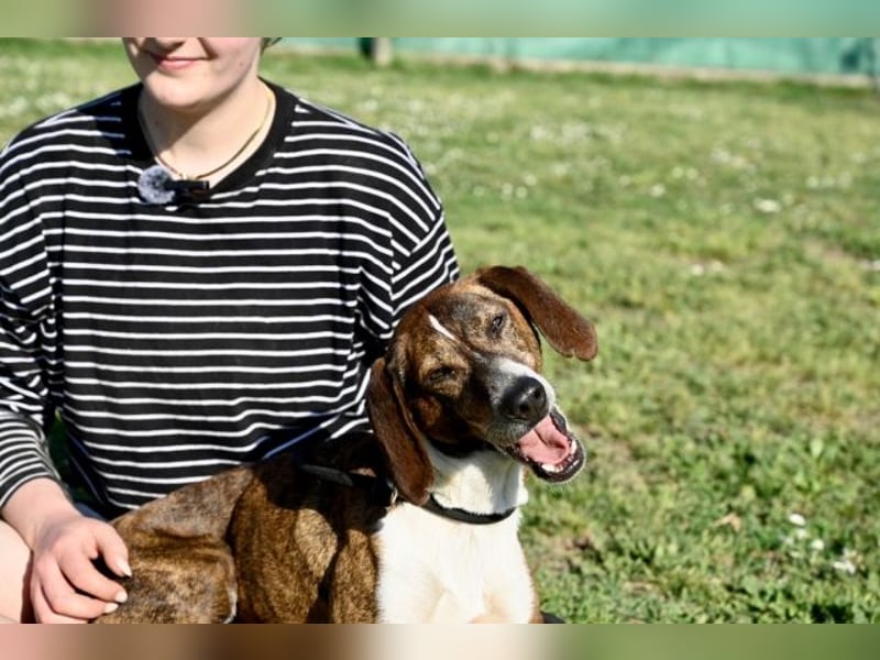 Mia - aussortiert - und niemand hat ihr je erklärt, warum