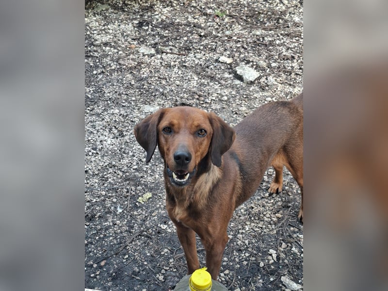 Gavin - wenn Lebensfreude stärker ist als die Vergangenheit