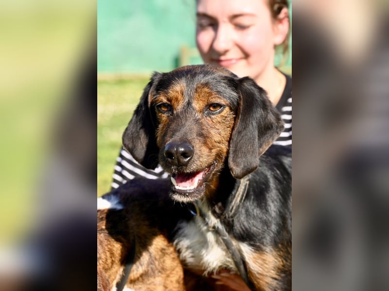 Gio - aussortiert - und immer noch bereit, jemandem ihr Herz zu verschenken