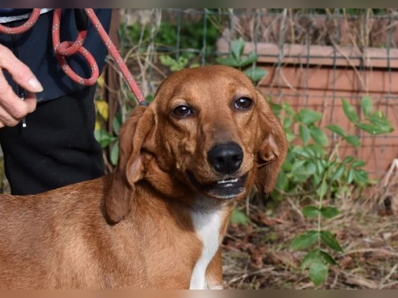 Clotilda - Gemeinsam werden wir sie retten