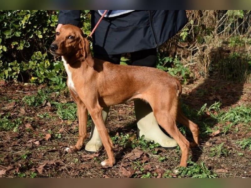 Clotilda - Gemeinsam werden wir sie retten