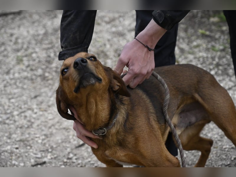 Gavin - wenn Lebensfreude stärker ist als die Vergangenheit