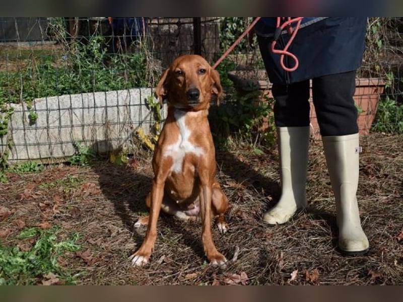 Clotilda - Gemeinsam werden wir sie retten
