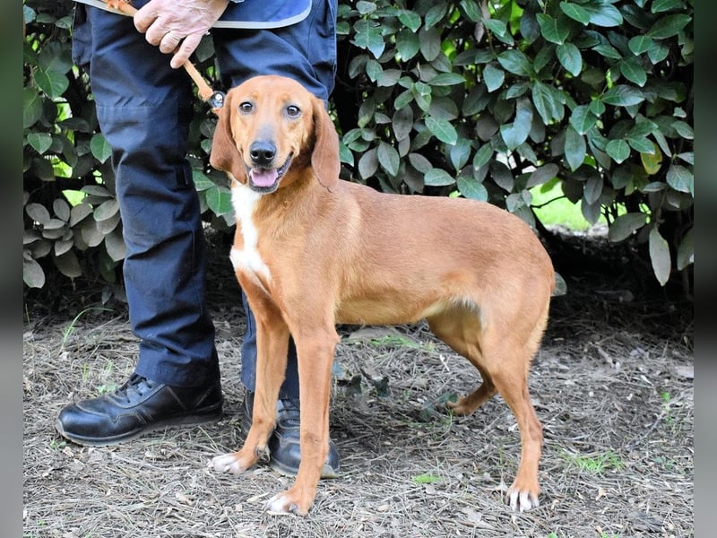 Clotilda - Gemeinsam werden wir sie retten