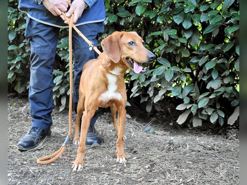 Clotilda - Gemeinsam werden wir sie retten