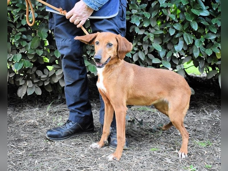 Clotilda - Gemeinsam werden wir sie retten