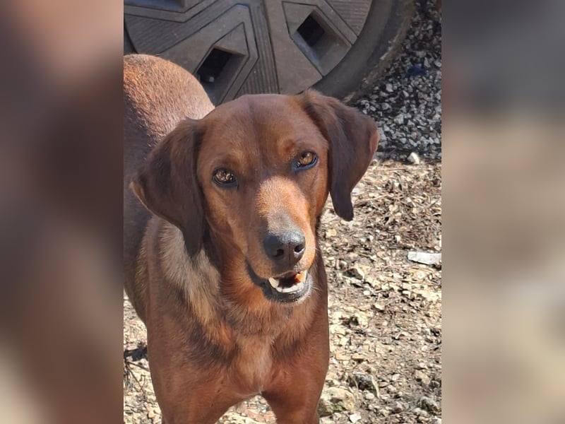 Gavin - wenn Lebensfreude stärker ist als die Vergangenheit