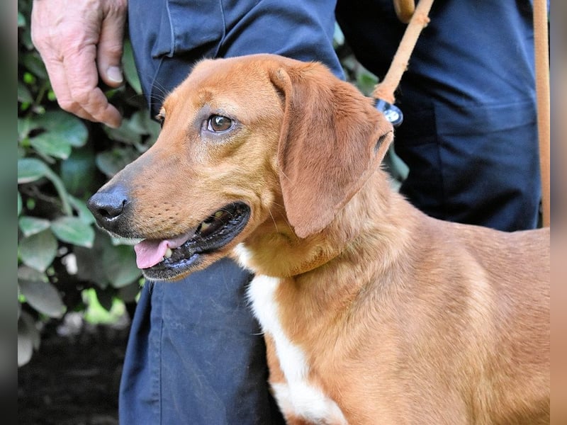 Clotilda - Gemeinsam werden wir sie retten