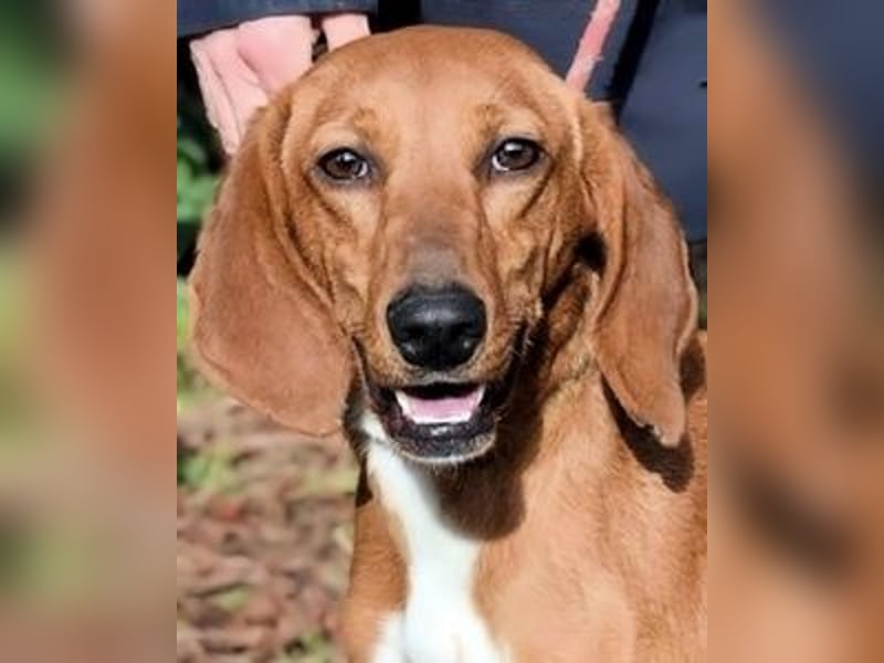 Clotilda - Gemeinsam werden wir sie retten