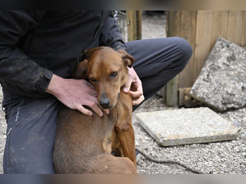 Gavin - wenn Lebensfreude stärker ist als die Vergangenheit