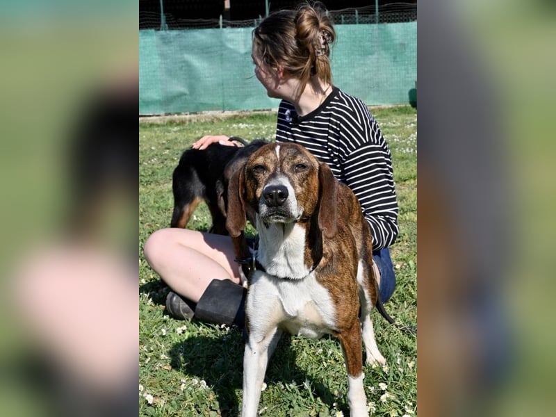 Mia - aussortiert - und niemand hat ihr je erklärt, warum