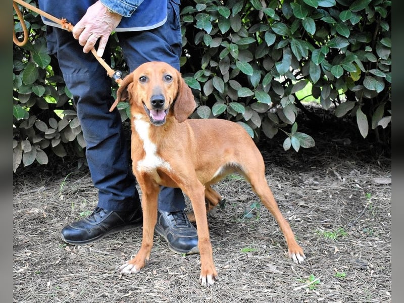Clotilda - Gemeinsam werden wir sie retten