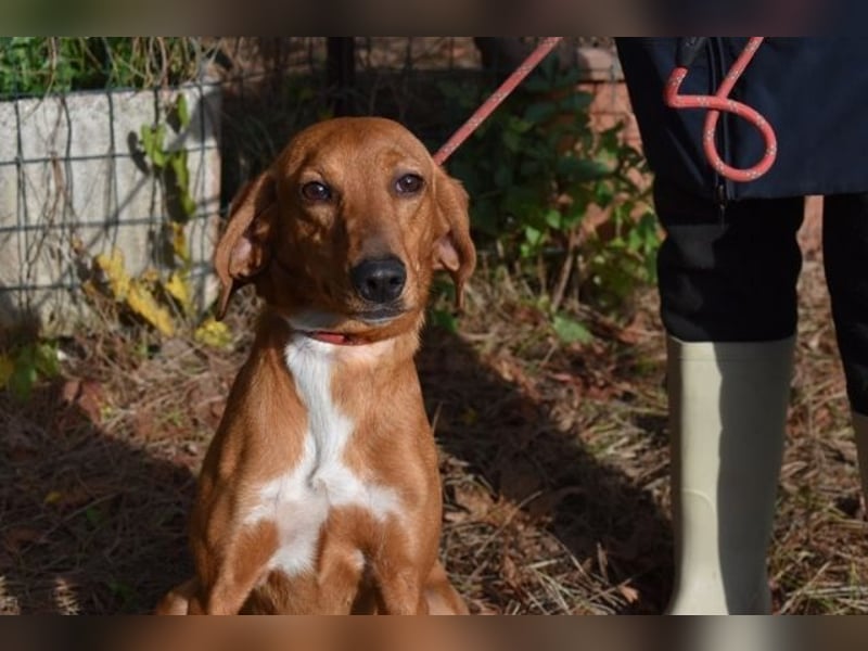 Clotilda - Gemeinsam werden wir sie retten