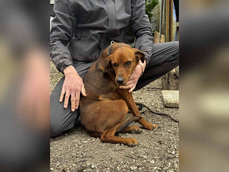Gavin - wenn Lebensfreude stärker ist als die Vergangenheit