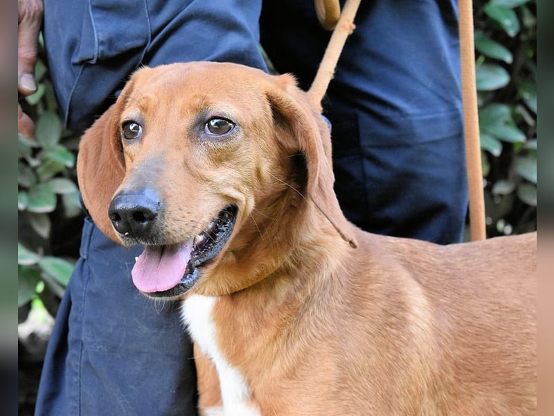 Clotilda - Gemeinsam werden wir sie retten