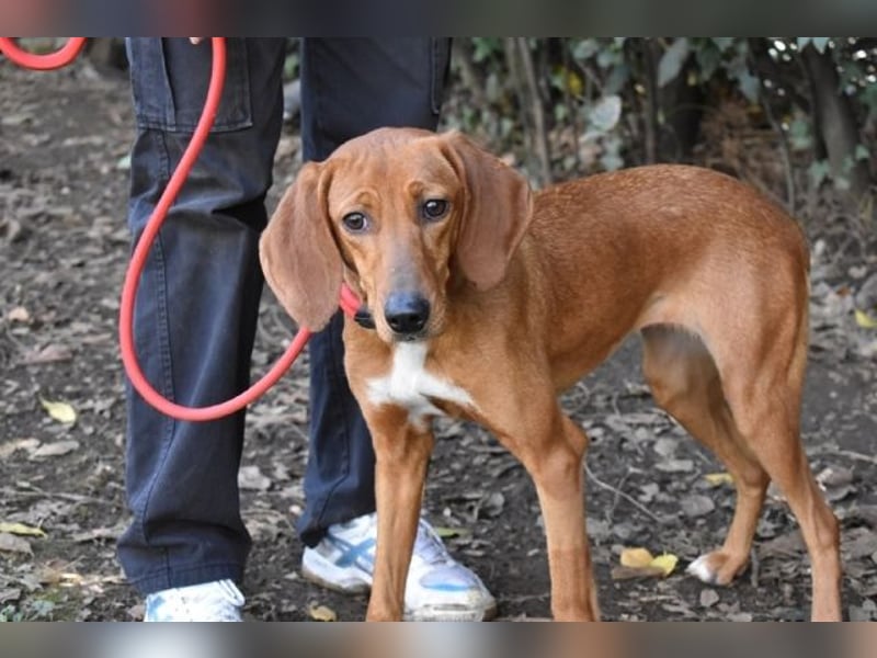 Clotilda - Gemeinsam werden wir sie retten