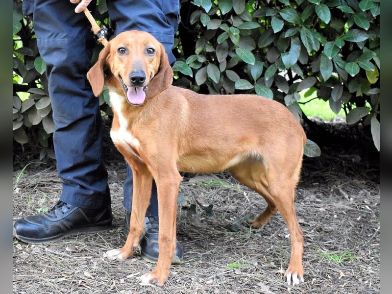 Clotilda - Gemeinsam werden wir sie retten