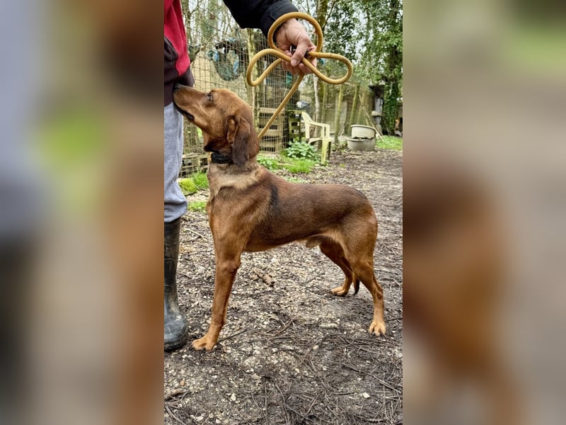 Gavin - Wenn selbst die italienische Polizei eingreift ....