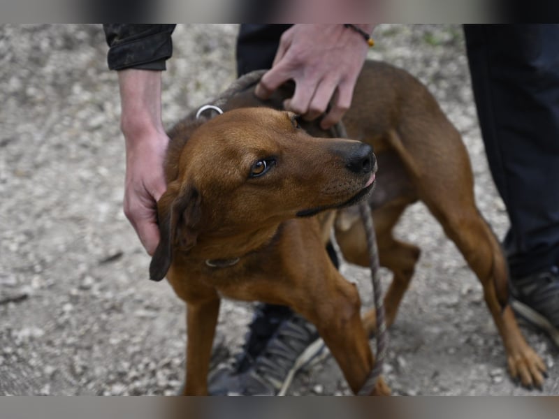 Gavin - wenn Lebensfreude stärker ist als die Vergangenheit
