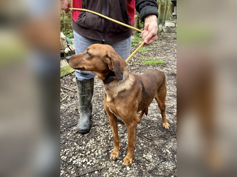 Gavin - Wenn selbst die italienische Polizei eingreift ....